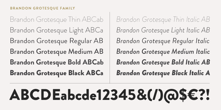 Пример шрифта Brandon Grotesque Medium Italic
