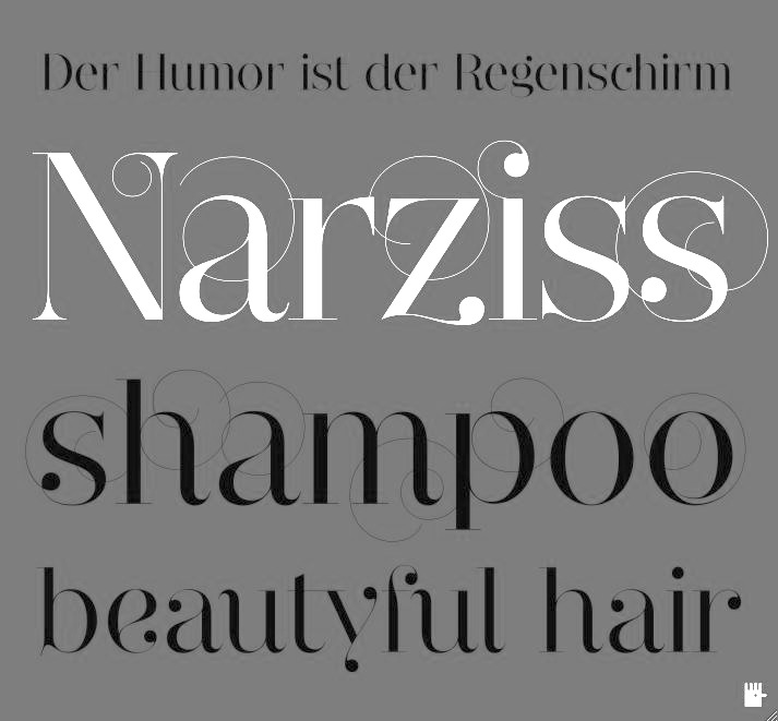 Пример шрифта Narziss Pro
