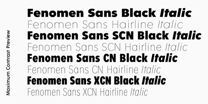 Пример шрифта Fenomen Sans SCN Black Italic