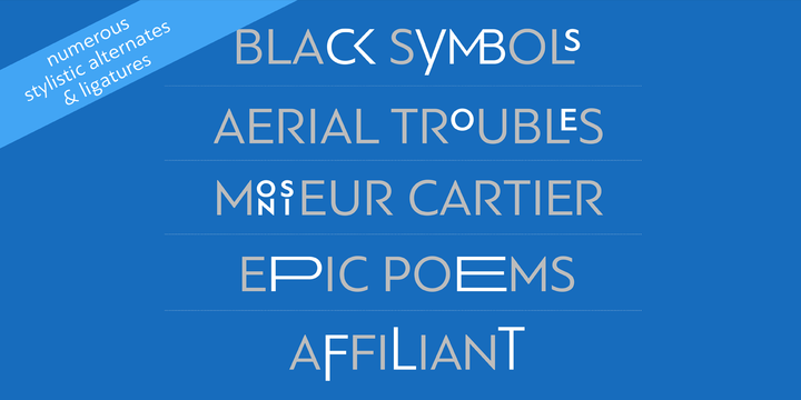 Пример шрифта PF Bague Sans Pro Black