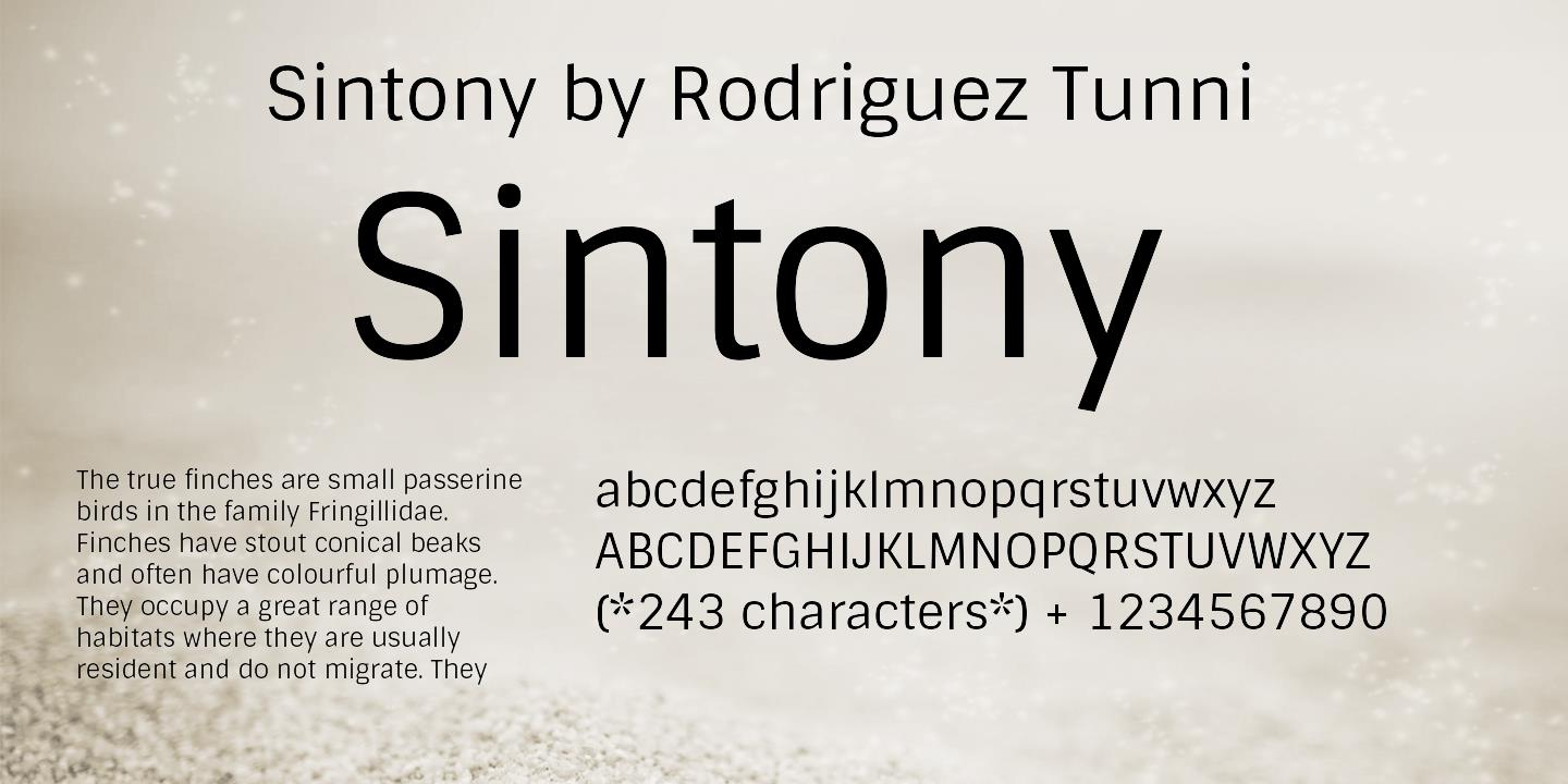 Пример шрифта Sintony