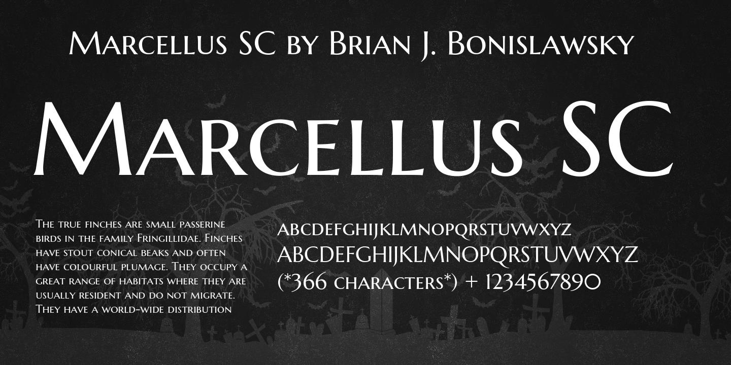 Пример шрифта Marcellus SC