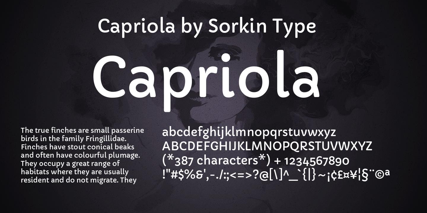 Пример шрифта Capriola