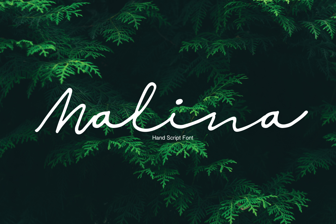 Пример шрифта Malina Light