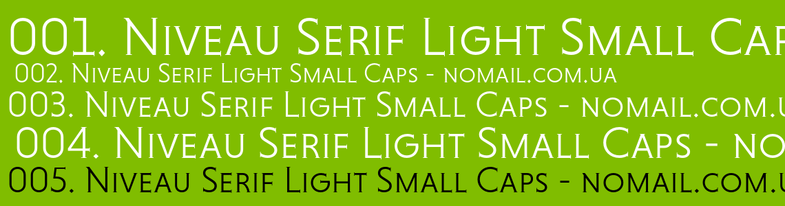 Пример шрифта Niveau Serif