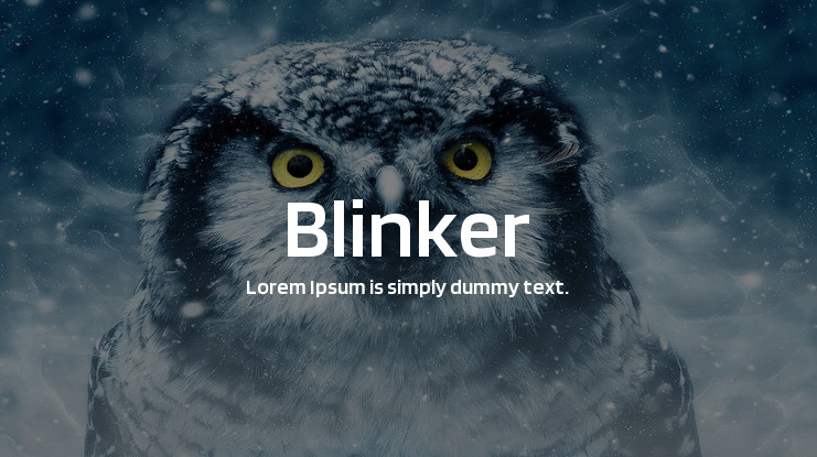 Пример шрифта Blinker