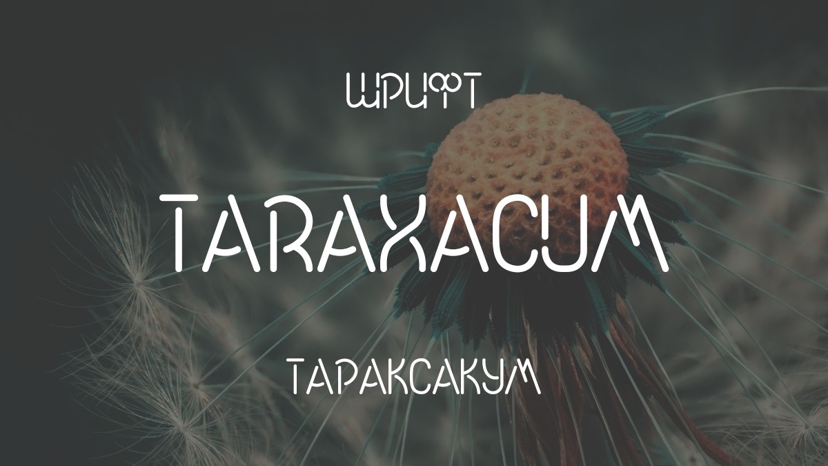 Пример шрифта Taraxacum