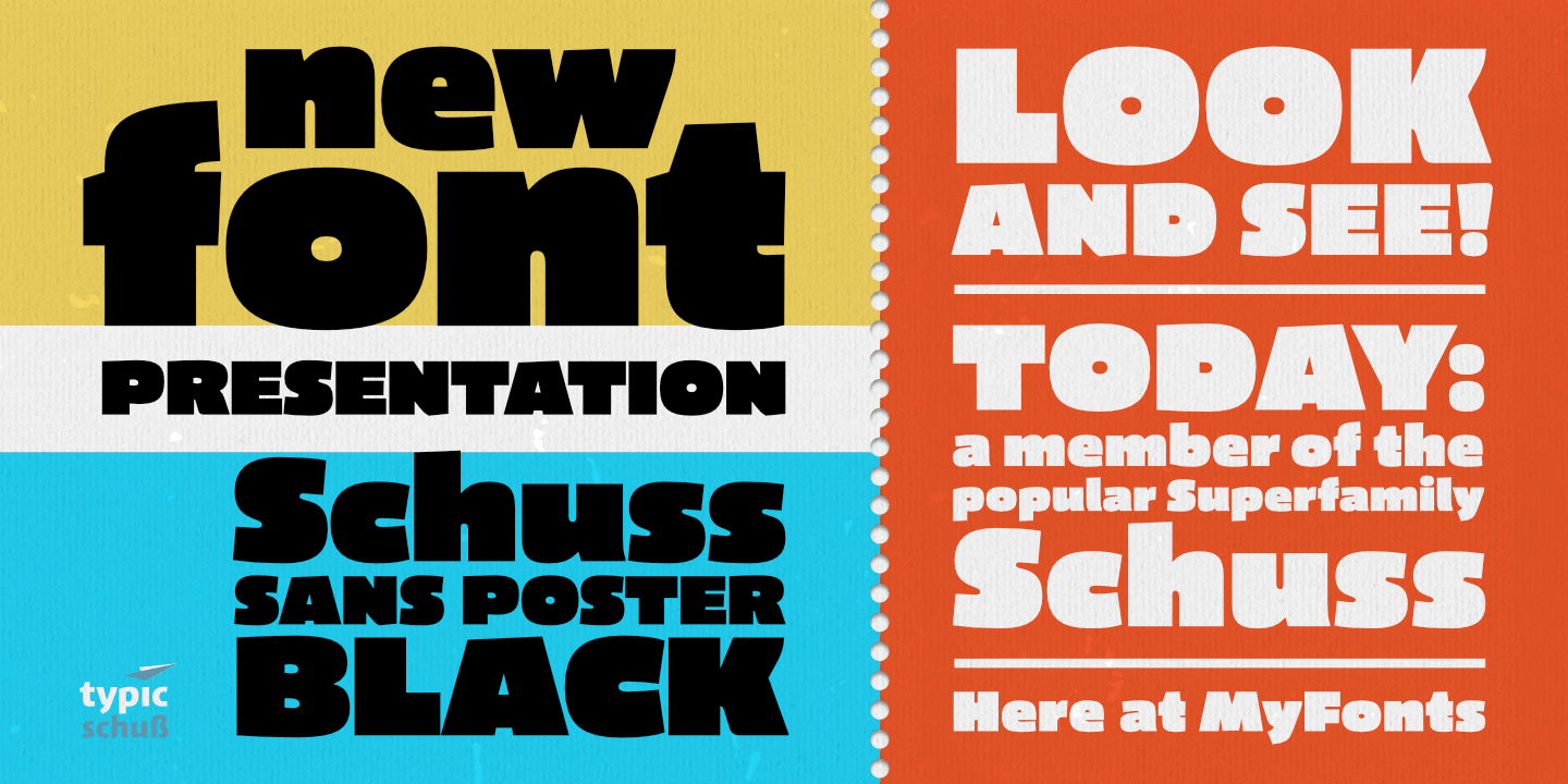 Пример шрифта Schuss Sans CG Poster Black