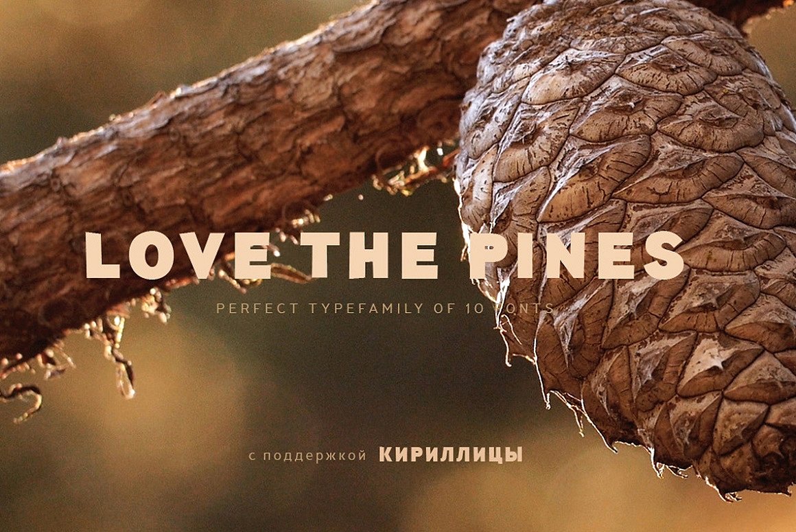Пример шрифта TT Pines Thin