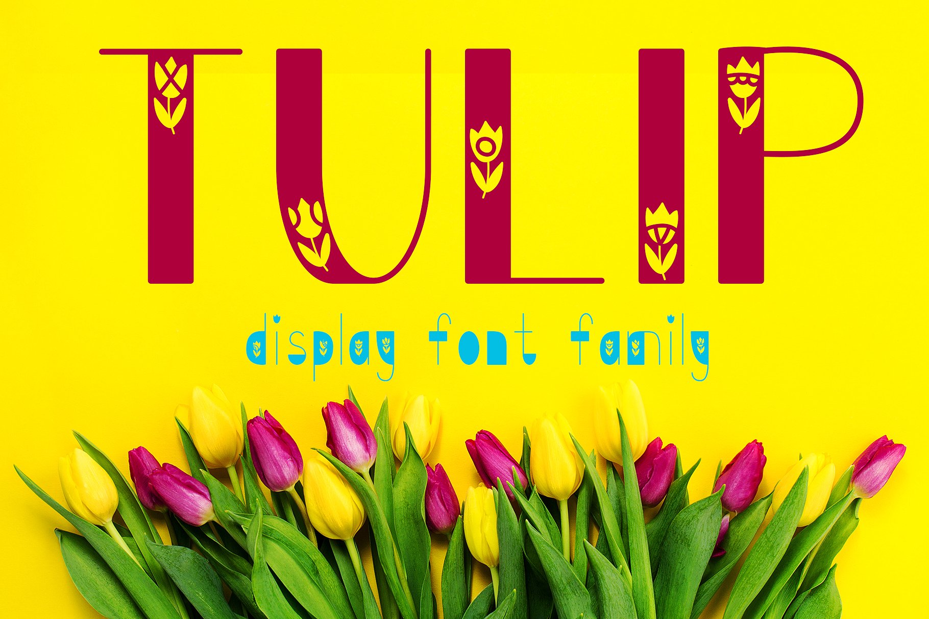 Пример шрифта Tulip