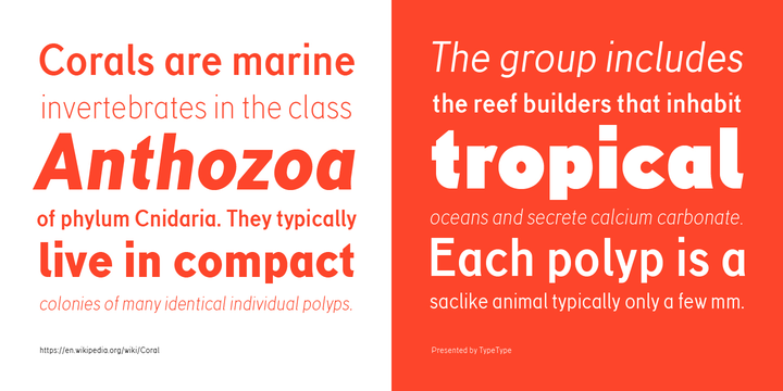 Пример шрифта TT Corals Bold Italic