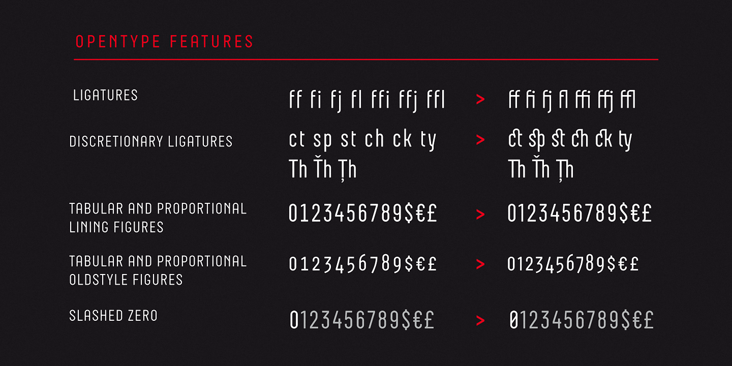 Пример шрифта Neubau Pro Italic