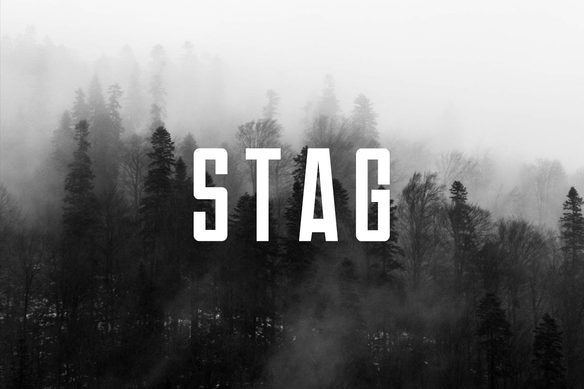 Пример шрифта Stag
