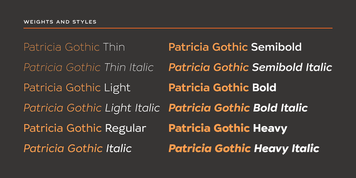 Пример шрифта Patricia Gothic Thin Italic