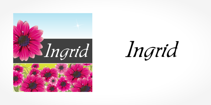 Пример шрифта Ingrid