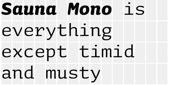 Пример шрифта Sauna Mono Pro Regular Italic