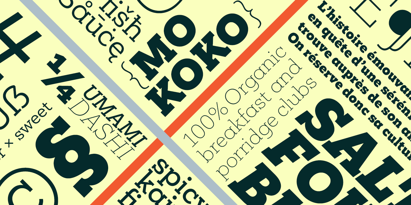 Пример шрифта Mokoko Light Italic