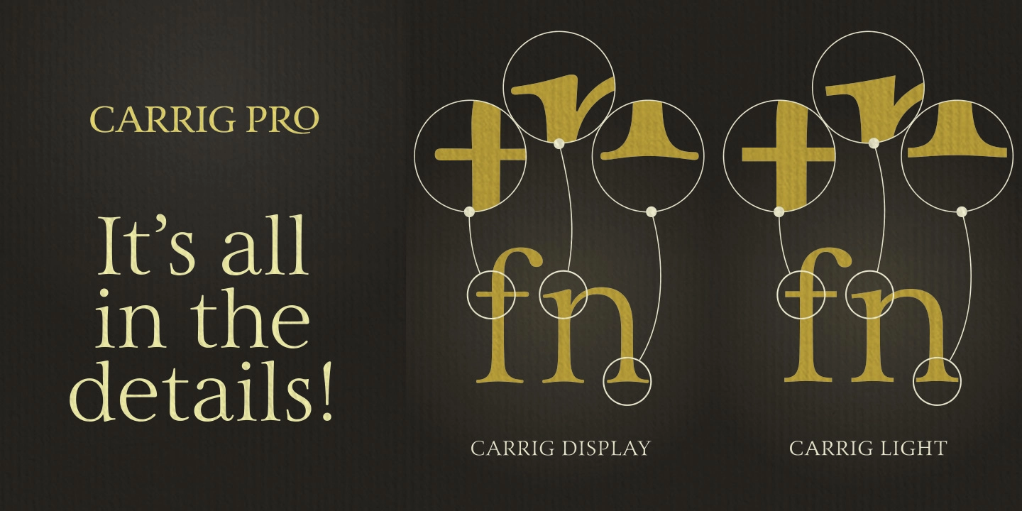 Пример шрифта Carrig Pro Display Italic