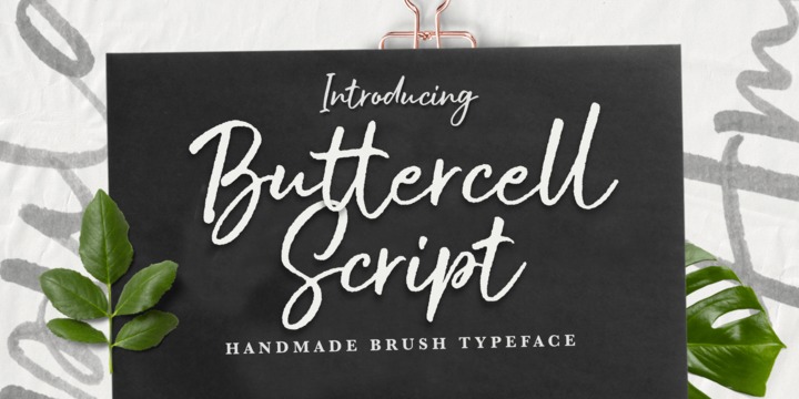 Пример шрифта Buttercell Script