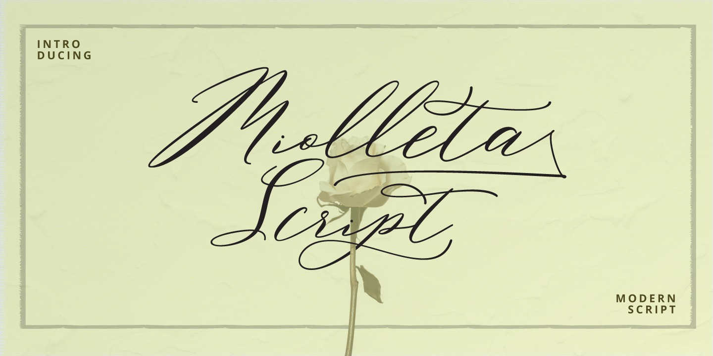 Пример шрифта Miolleta Script
