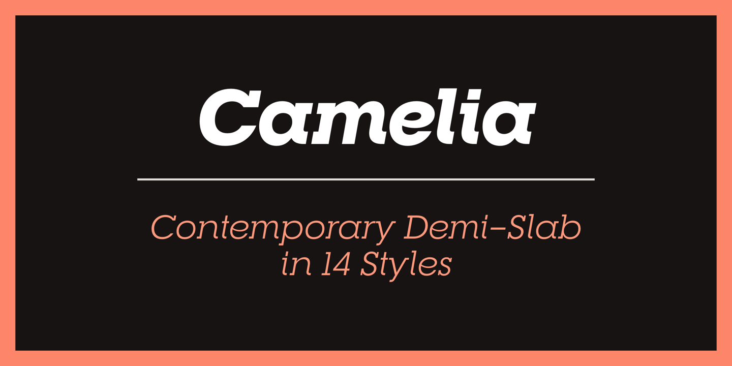 Пример шрифта RNS Camelia