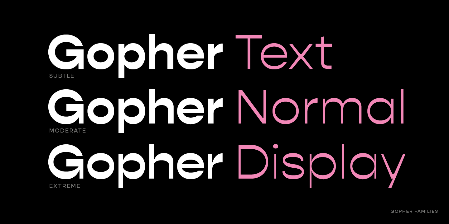 Пример шрифта Gopher Hairline Italic