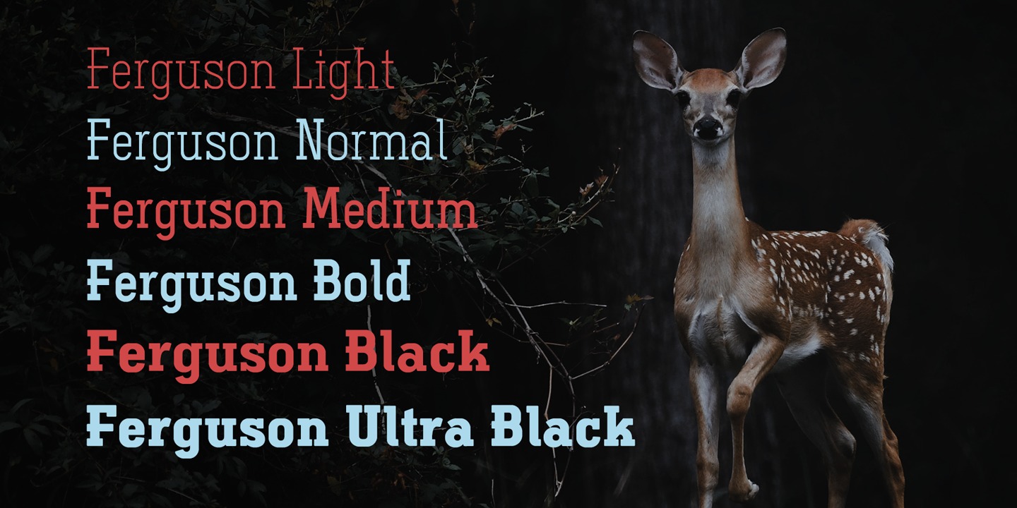 Пример шрифта Ferguson Condensed Light