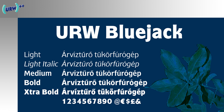 Пример шрифта Bluejack Light Italic