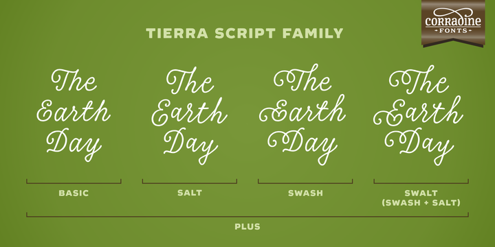 Пример шрифта Tierra Script Salt