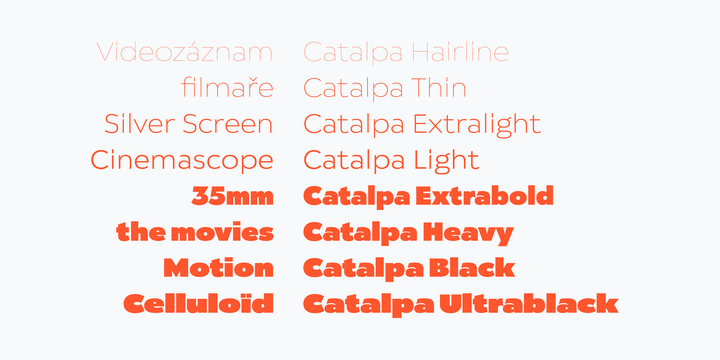 Пример шрифта Catalpa Extra light