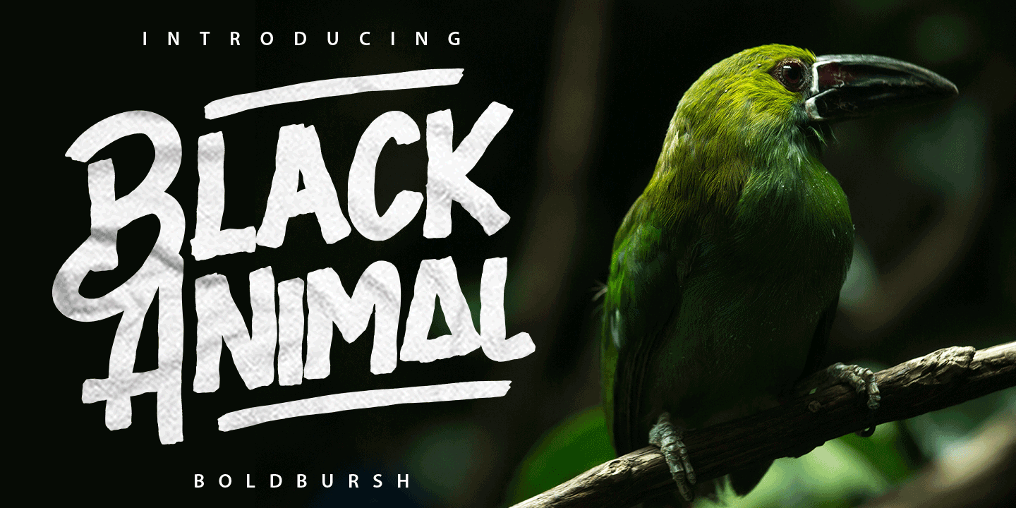 Пример шрифта Black Animal