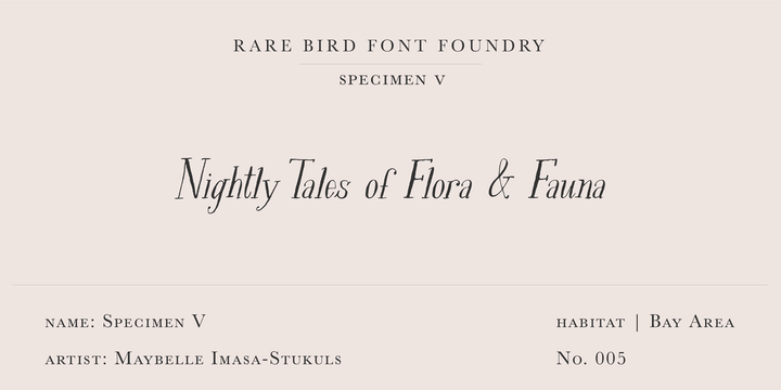 Пример шрифта Rare Bird Specimen