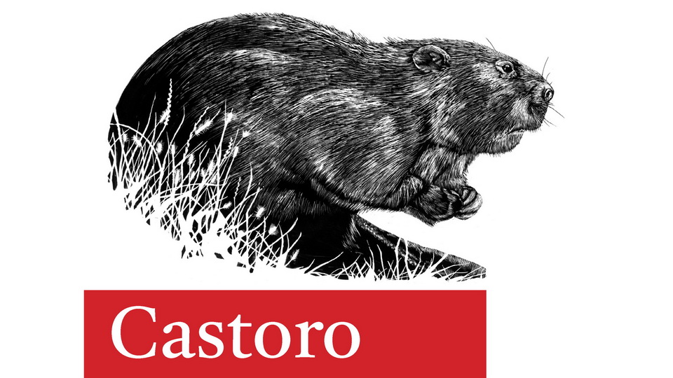 Пример шрифта Castoro