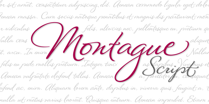 Пример шрифта Montague Script