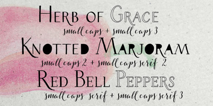 Пример шрифта Salt & Spices Pro SC Serif 3