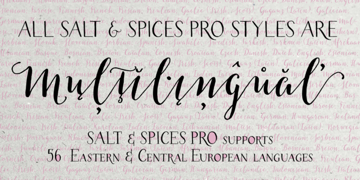 Пример шрифта Salt & Spices Pro SC Serif