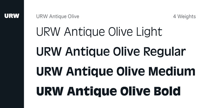 Пример шрифта Antique Olive Nord