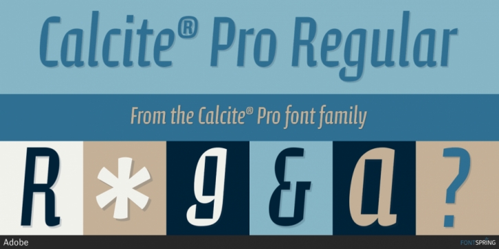 Пример шрифта Calcite Pro