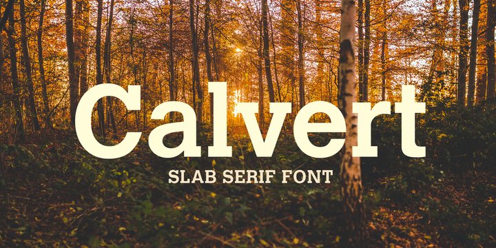 Пример шрифта Calvert