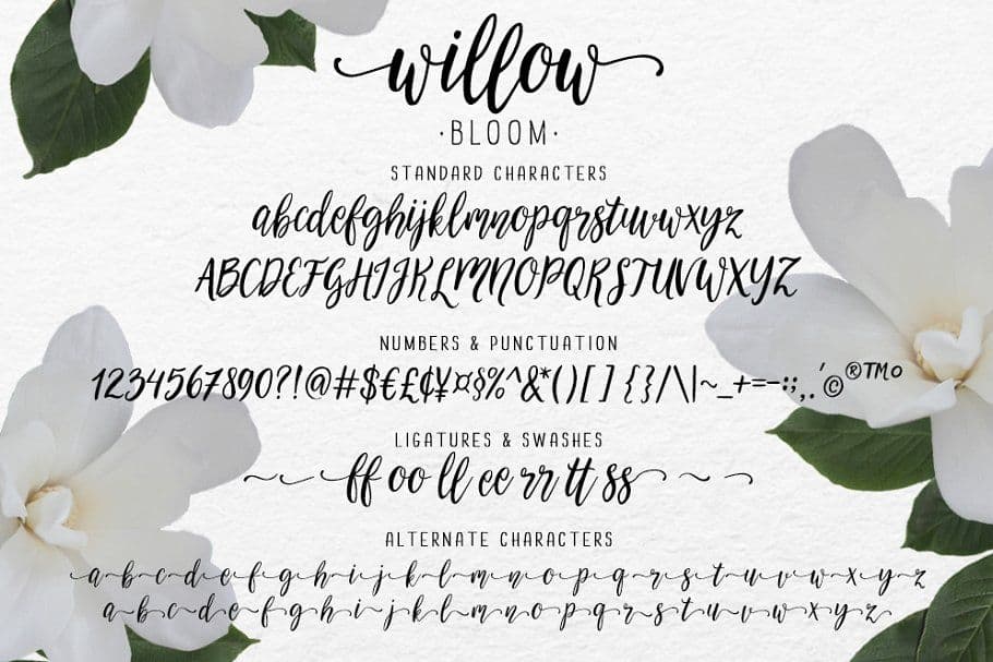 Пример шрифта Willow