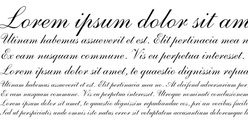 Пример шрифта Shelley Andante Script