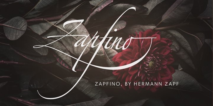 Пример шрифта Zapfino Extra