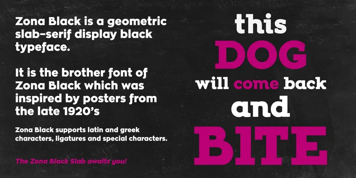 Пример шрифта Zona Black Slab Black Italic