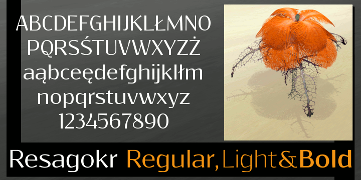 Пример шрифта Resagokr