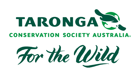 Пример шрифта Taronga Zoo
