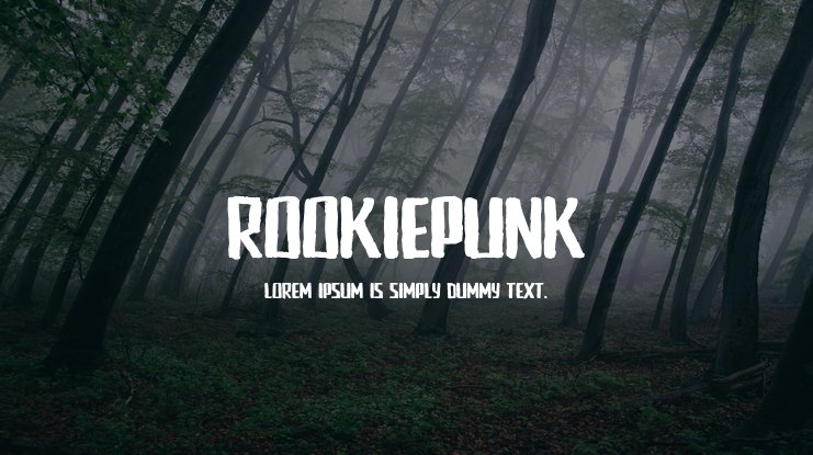 Пример шрифта Rookie Punk