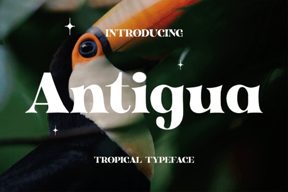 Пример шрифта Antigua