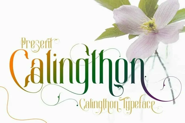 Пример шрифта Calingthon
