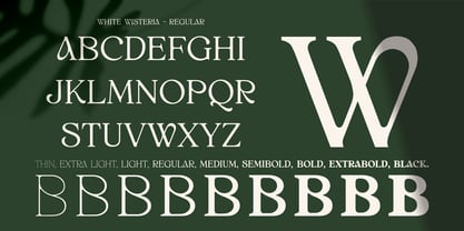 Пример шрифта White Wisteria Semibold