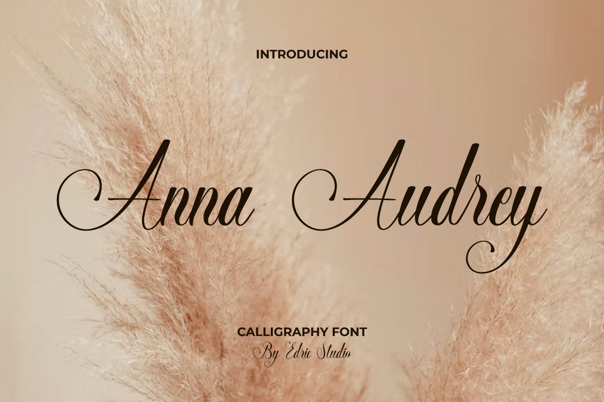 Пример шрифта Anna Audrey Regular